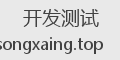 开发测试