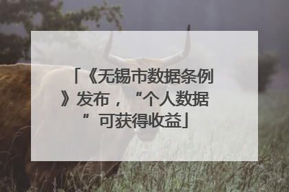 《无锡市数据条例》发布，“个人数据”可获得收益