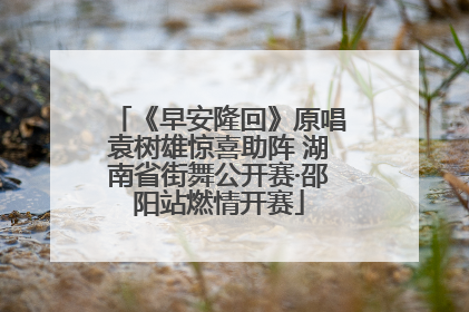 《早安隆回》原唱袁树雄惊喜助阵 湖南省街舞公开赛·邵阳站燃情开赛