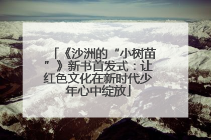《沙洲的“小树苗”》新书首发式：让红色文化在新时代少年心中绽放