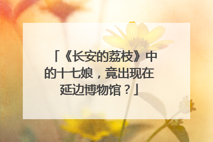 《长安的荔枝》中的十七娘，竟出现在延边博物馆？