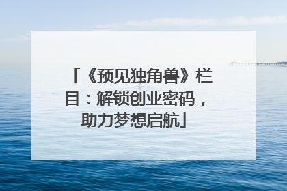 《预见独角兽》栏目：解锁创业密码，助力梦想启航