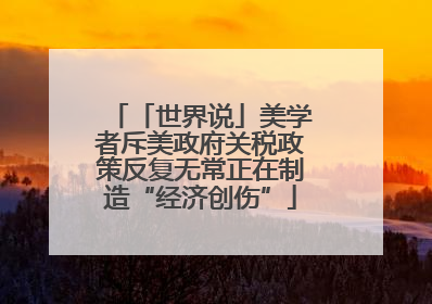 「世界说」美学者斥美政府关税政策反复无常正在制造“经济创伤”