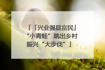 「兴业强县富民」“小青蛙”跳出乡村振兴“大步伐”