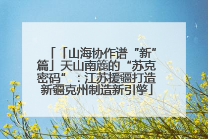 「山海协作谱“新”篇」天山南簏的“苏克密码”：江苏援疆打造新疆克州制造新引擎