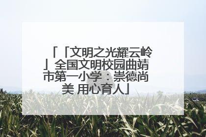 「文明之光耀云岭」全国文明校园曲靖市第一小学：崇德尚美 用心育人