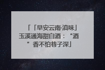 「早安云南·滇味」玉溪通海甜白酒：“酒”香不怕巷子深