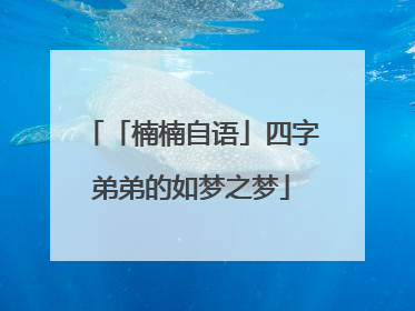 「楠楠自语」四字弟弟的如梦之梦