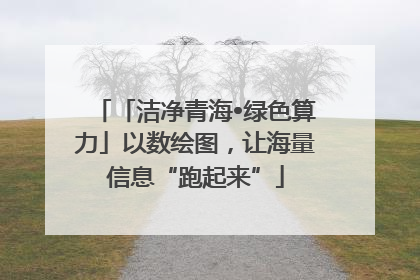 「洁净青海•绿色算力」以数绘图，让海量信息“跑起来”