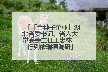 「金种子企业」湖北省委书记、省人大常委会主任王忠林一行到依瑞德调研