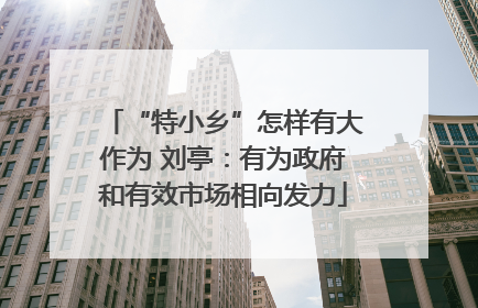 “特小乡”怎样有大作为 刘亭：有为政府和有效市场相向发力