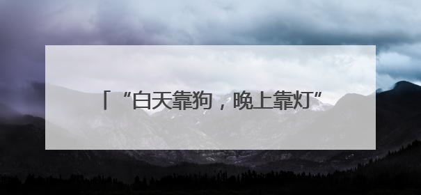 “白天靠狗，晚上靠灯”！菌子近期疯长！别乱捡