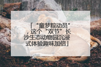 “童梦粽动员”，这个“双节”长沙生态动物园沉浸式体验趣味加倍