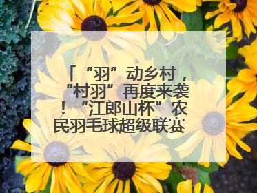 “羽”动乡村，“村羽”再度来袭！“江郎山杯”农民羽毛球超级联赛第二站圆满落幕
