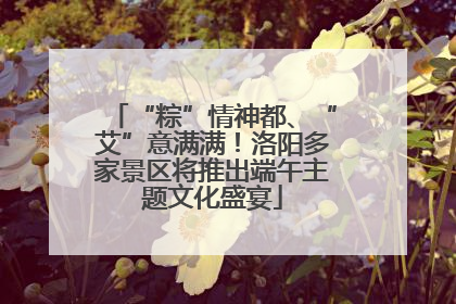 “粽”情神都、“艾”意满满！洛阳多家景区将推出端午主题文化盛宴