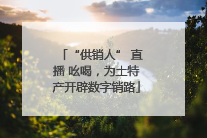 “供销人” 直播 吆喝，为土特产开辟数字销路