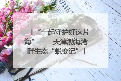 “一起守护好这片海”——天津渤海湾畔生态“蜕变记”