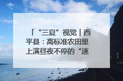 “三夏”视觉｜西平县：高标准农田里上演昼夜不停的“速度与激情”
