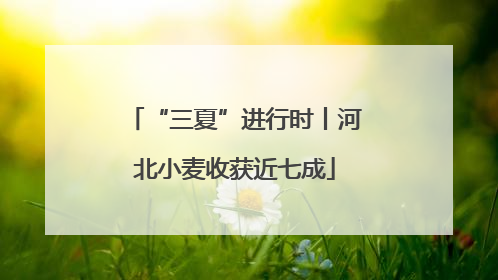“三夏”进行时丨河北小麦收获近七成