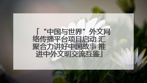 “中国与世界”外文网络传播平台项目启动 汇聚合力讲好中国故事 推进中外文明交流互鉴