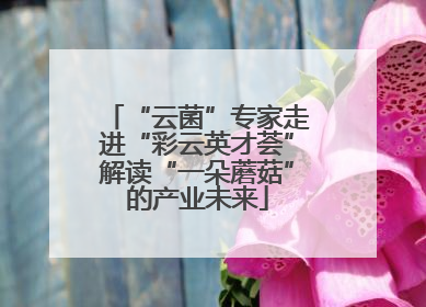 “云菌”专家走进“彩云英才荟”解读“一朵蘑菇”的产业未来
