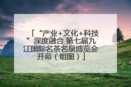 “产业+文化+科技”深度融合 第七届九江国际名茶名泉博览会开幕（组图）