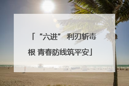 “六进” 利刃斩毒根 青春防线筑平安