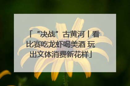 “决战”古黄河丨看比赛吃龙虾喝美酒 玩出文体消费新花样