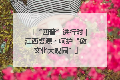 “四普”进行时｜江西婺源：呵护“徽文化大观园”