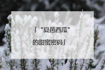 “夏邑西瓜”的甜蜜密码