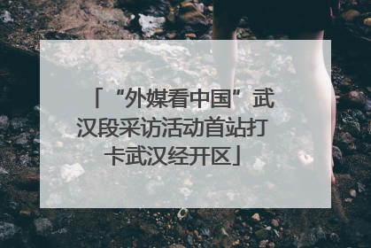 “外媒看中国”武汉段采访活动首站打卡武汉经开区