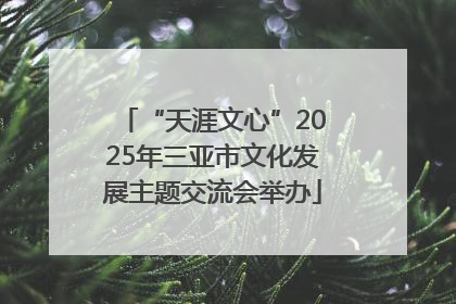 “天涯文心”2025年三亚市文化发展主题交流会举办