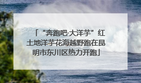 “奔跑吧·大洋芋”红土地洋芋花海越野跑在昆明市东川区热力开跑