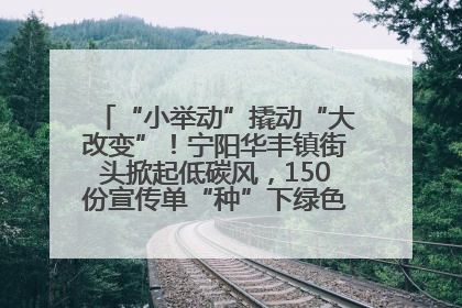 “小举动”撬动“大改变”！宁阳华丰镇街头掀起低碳风，150份宣传单“种”下绿色生活新种子