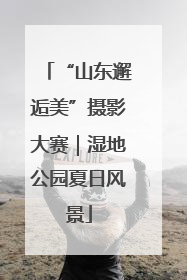 “山东邂逅美”摄影大赛｜湿地公园夏日风景