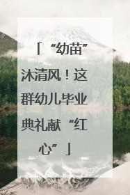 “幼苗”沐清风！这群幼儿毕业典礼献“红心”