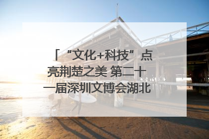 “文化+科技”点亮荆楚之美 第二十一届深圳文博会湖北馆抢“鲜”看