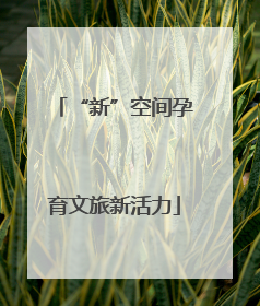“新”空间孕育文旅新活力