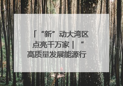 “新”动大湾区 点亮千万家｜“高质量发展能源行”系列报道③