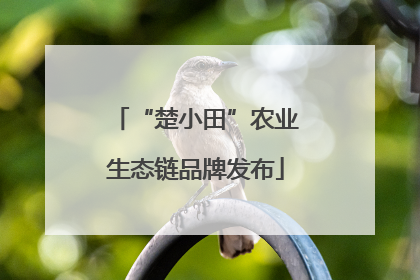 “楚小田”农业生态链品牌发布