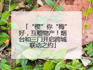 “樱”你“梅”好，互赠物产！烟台和三门开启跨城联动之约