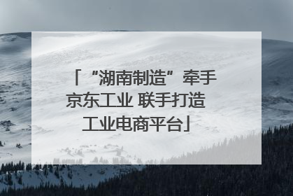 “湖南制造”牵手京东工业 联手打造工业电商平台