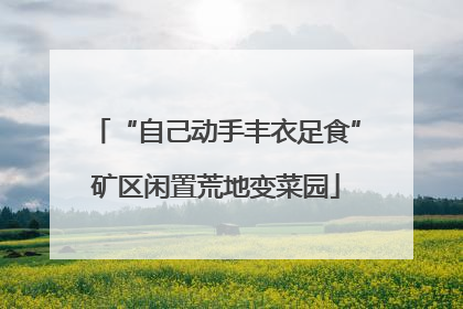“自己动手丰衣足食”矿区闲置荒地变菜园
