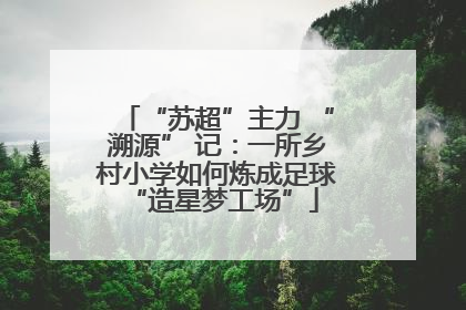 “苏超”主力 “溯源” 记：一所乡村小学如何炼成足球 “造星梦工场”