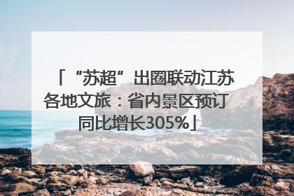 “苏超”出圈联动江苏各地文旅：省内景区预订同比增长305%