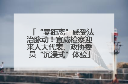 “零距离”感受法治脉动！宣威检察迎来人大代表、政协委员“沉浸式”体验