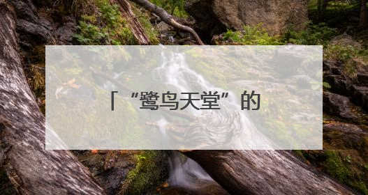 “鹭鸟天堂”的诗意栖居：绿水青山中的共生智慧丨有一说一