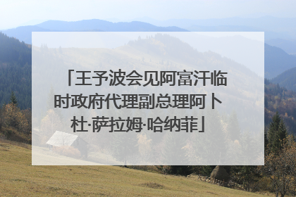 王予波会见阿富汗临时政府代理副总理阿卜杜·萨拉姆·哈纳菲