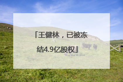王健林，已被冻结4.9亿股权