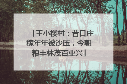 王小楼村：昔日庄稼年年被沙压，今朝粮丰林茂百业兴